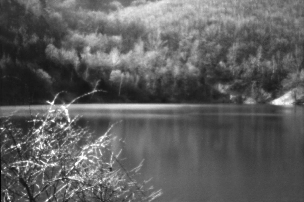 Pinhole photo lomogrpahy black and white iso 8 sample 
