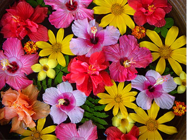 Photo of flowers taken with a pentax w90